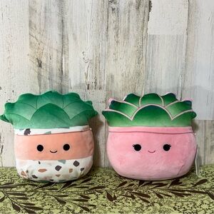 Squishmallows Succulents Green and Pink Afiyah (NWT) Smiling Plush Set